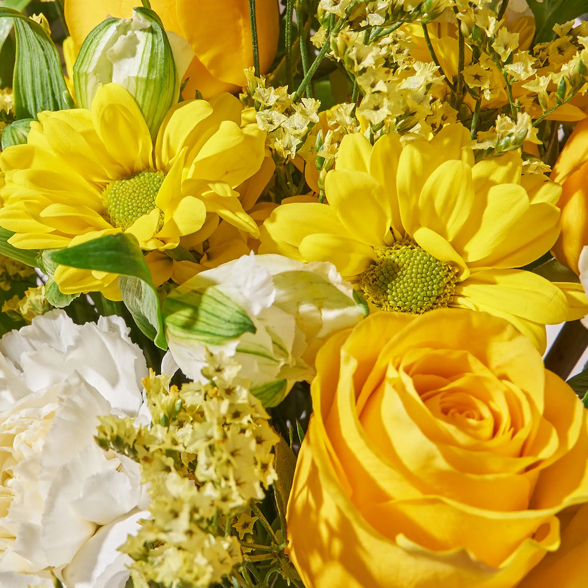 Bouquet of yellow and white flowers with green leaves