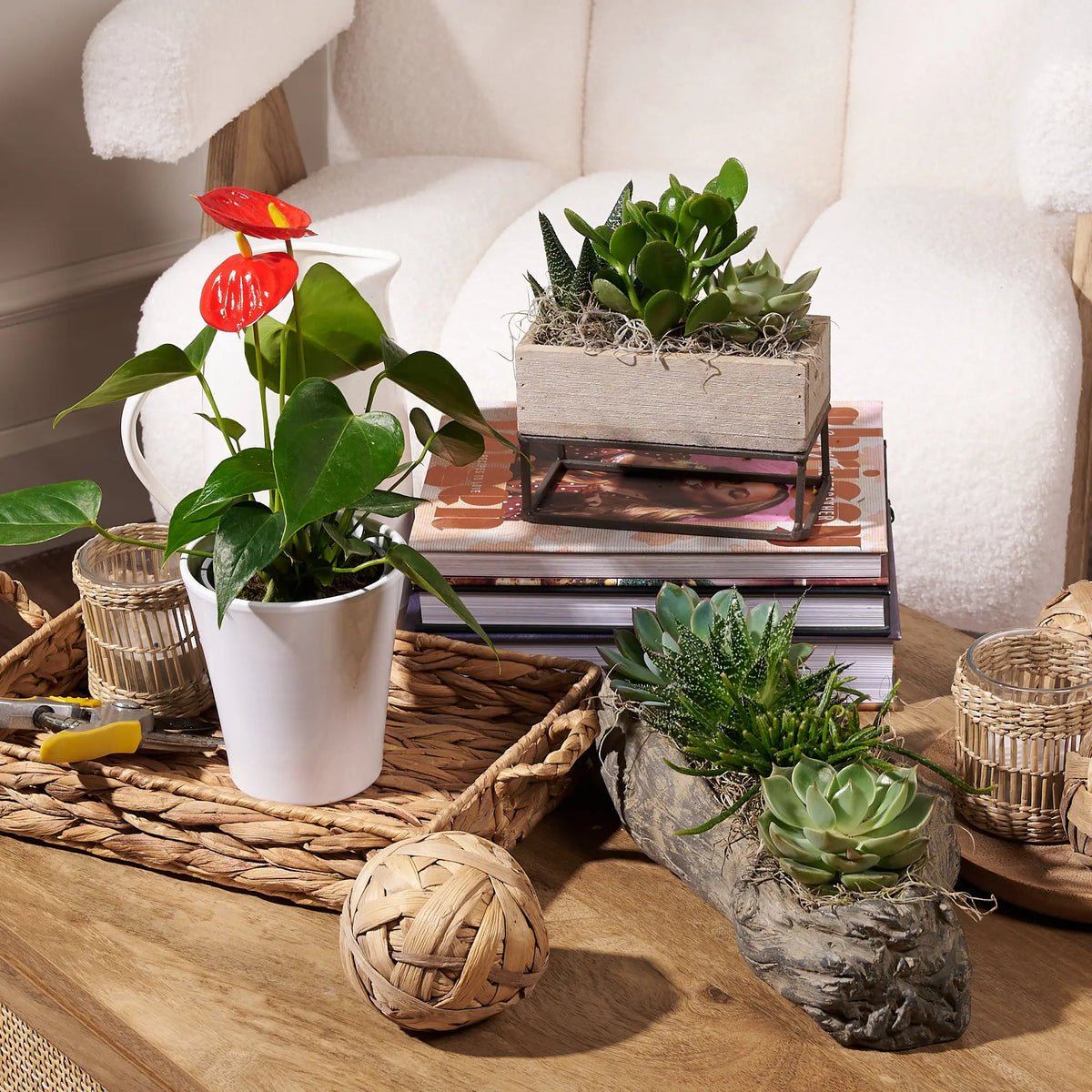 The Arden Succulent Garden