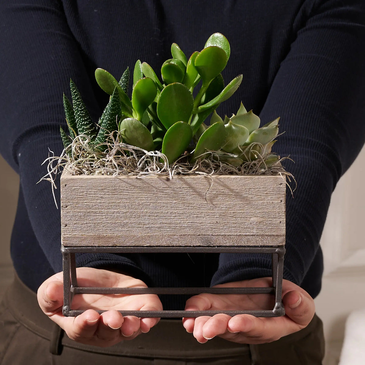 The Briar Succulent Garden
