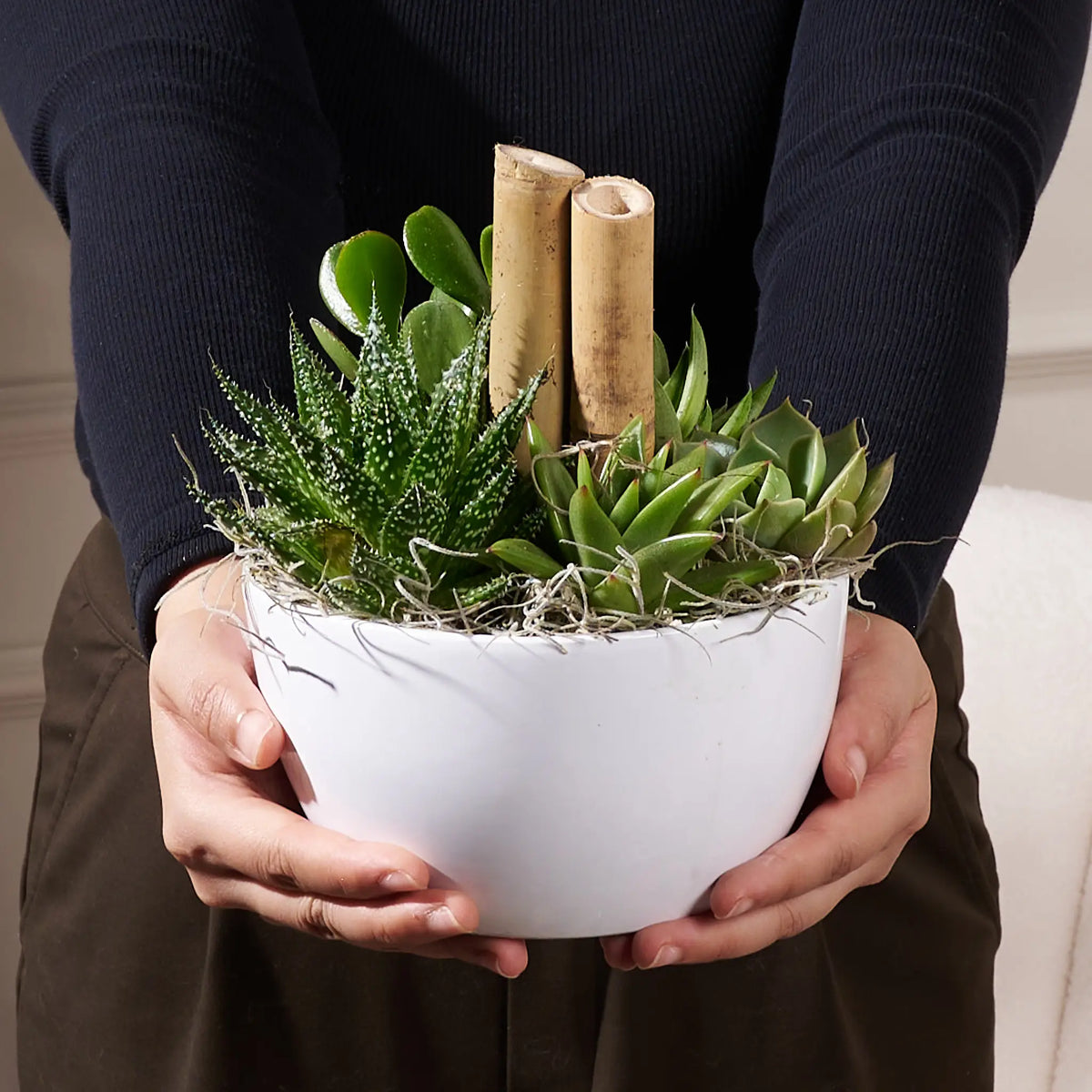 The Vale Garden Succulent Bowl