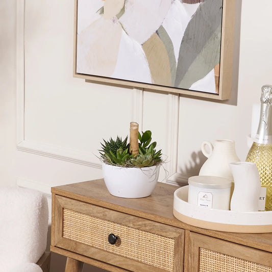 The Vale Garden Succulent Bowl