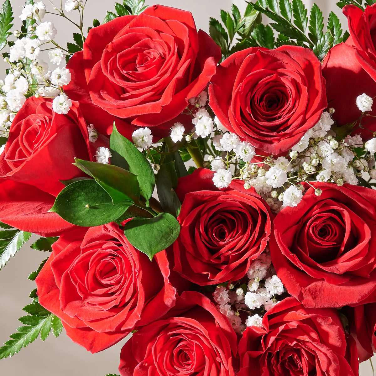 Bouquet of red roses with some white flowers and green leaves on a light background