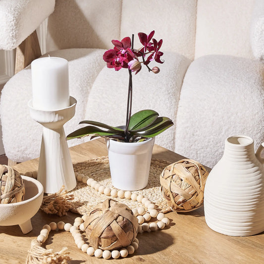 Decorative setting with a potted orchid, candles, and decorative items on a wooden surface.