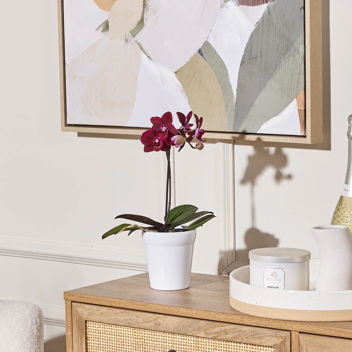 Potted orchid on a wooden side table with abstract art in the background