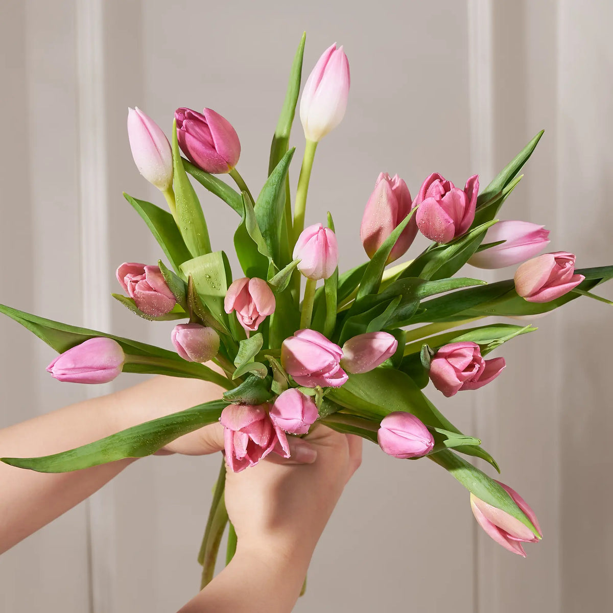 Bouquet of pink tulips held by a person against a neutral background